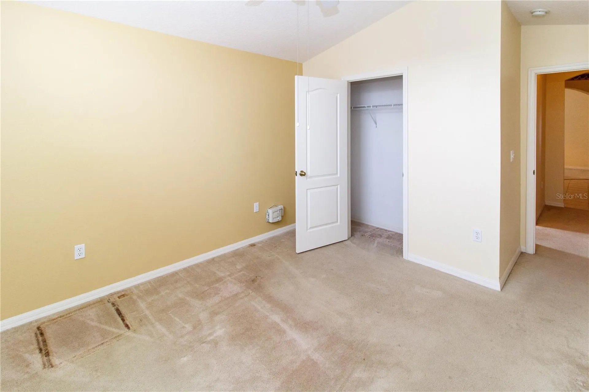 1747 Ravenridge Street Wesley Chapel FL 33543