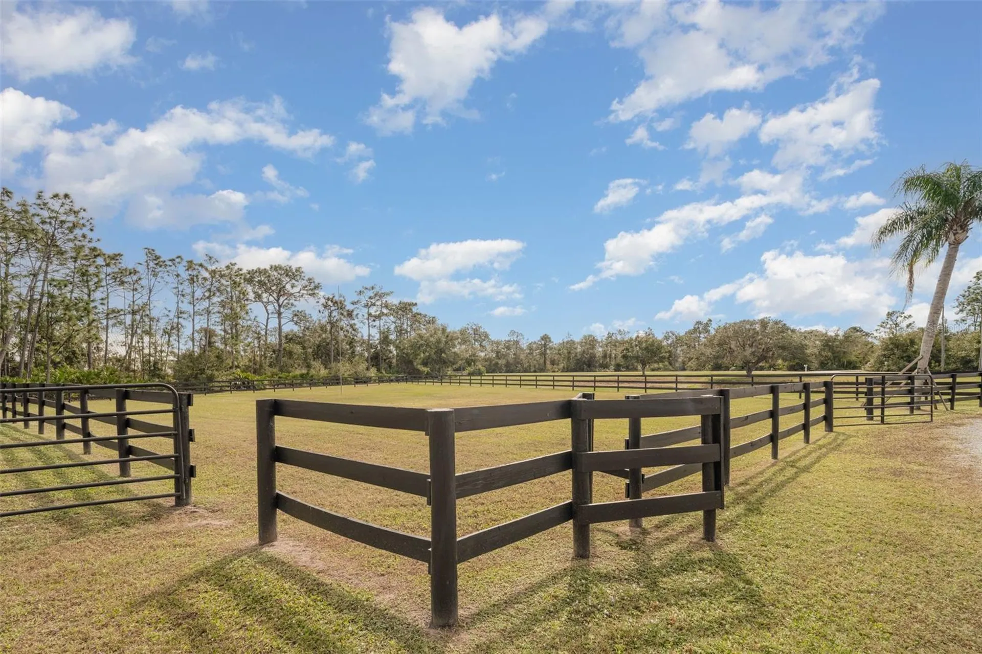 30215 Saddlebag Trail Myakka City FL 34251