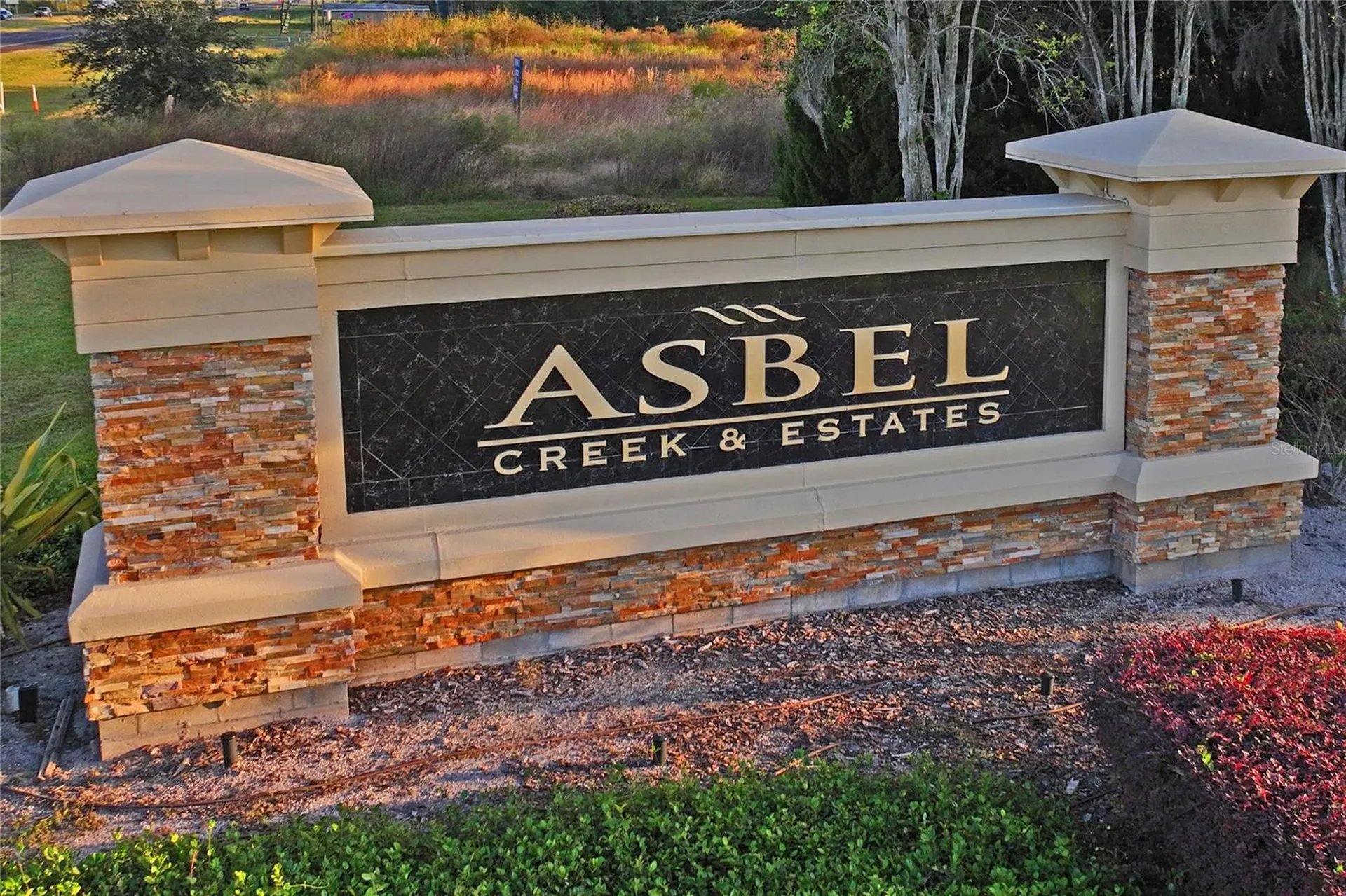 9835 Bowden Mill Court Land O Lakes FL 34638