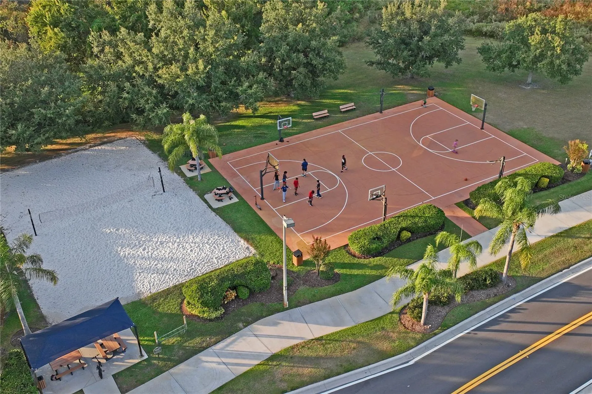 9835 Bowden Mill Court Land O Lakes FL 34638