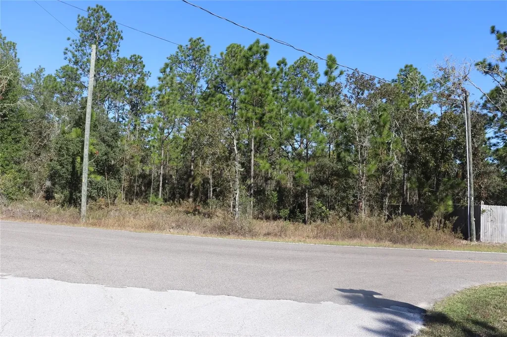 Tbd SW Indian Hill Drive Dunnellon FL 34431
