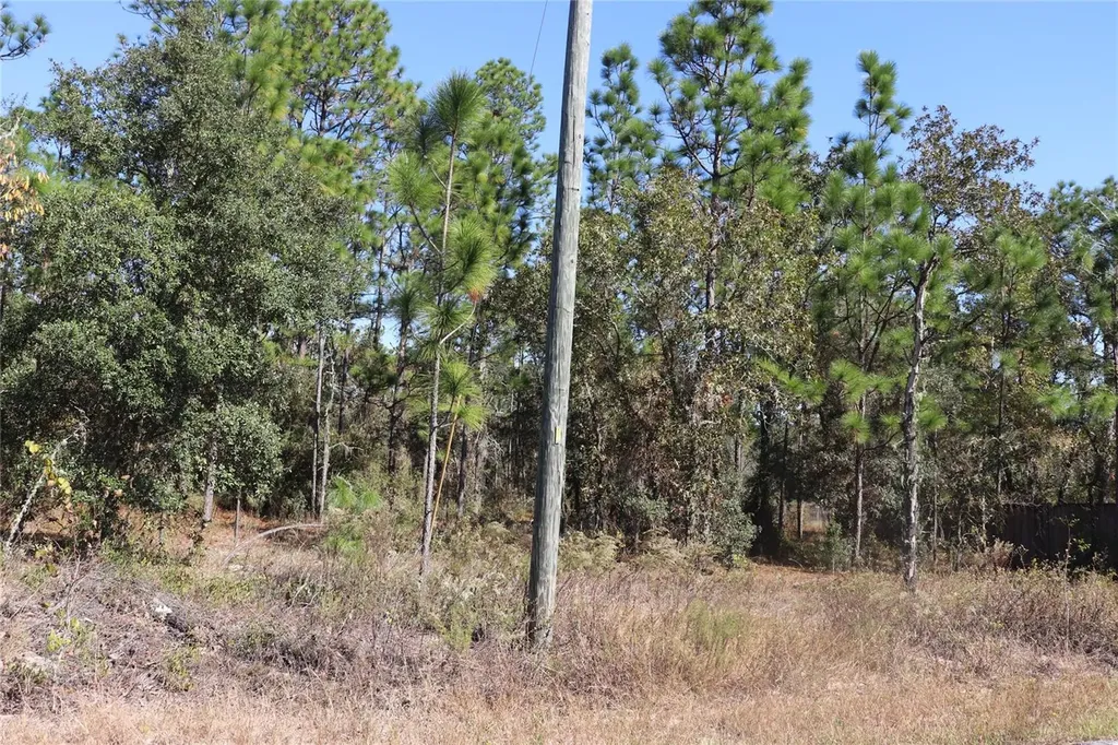 Tbd SW Indian Hill Drive Dunnellon FL 34431