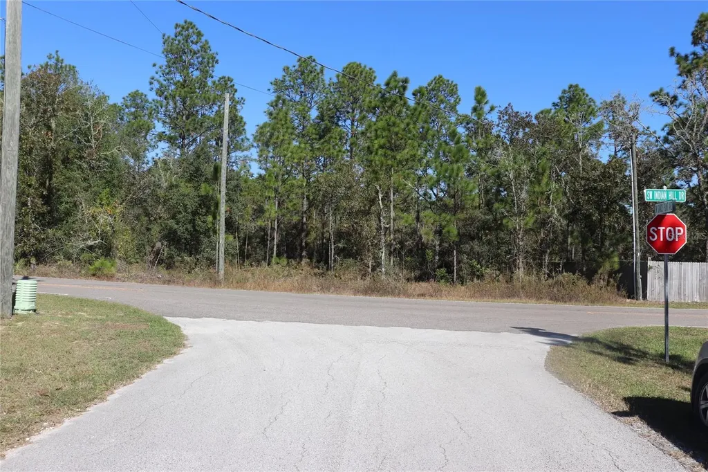 Tbd SW Indian Hill Drive Dunnellon FL 34431