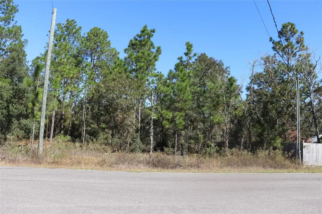 Tbd SW Indian Hill Drive Dunnellon FL 34431