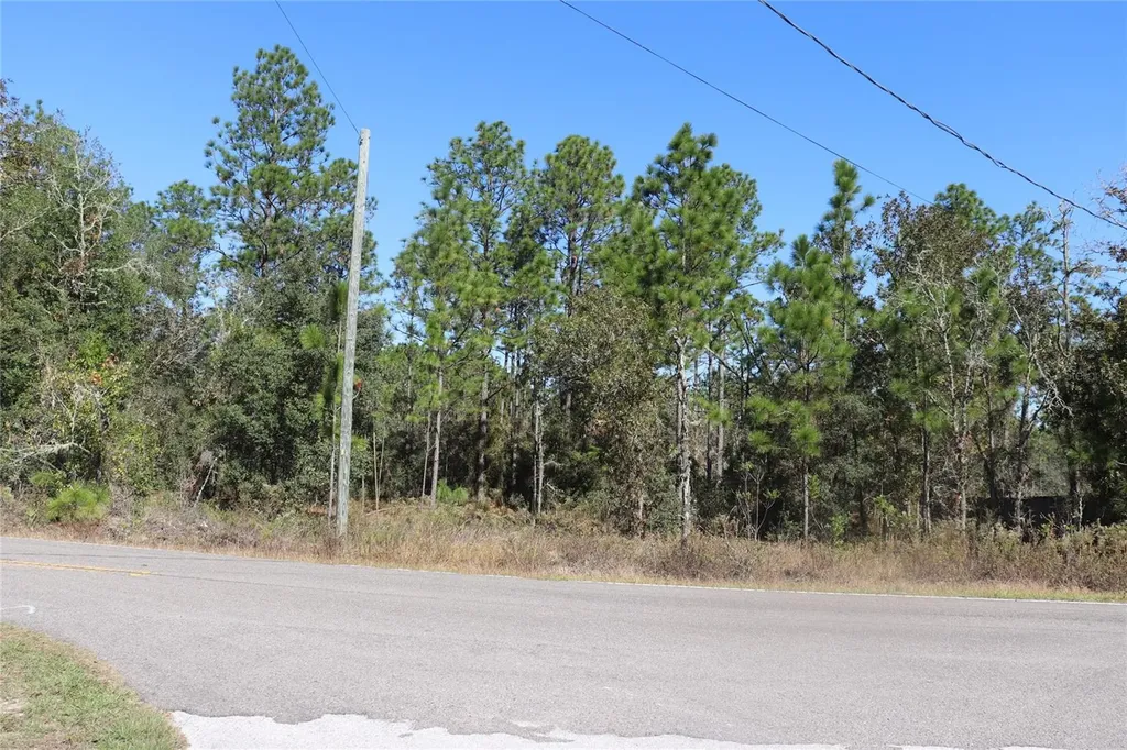 Tbd SW Indian Hill Drive Dunnellon FL 34431