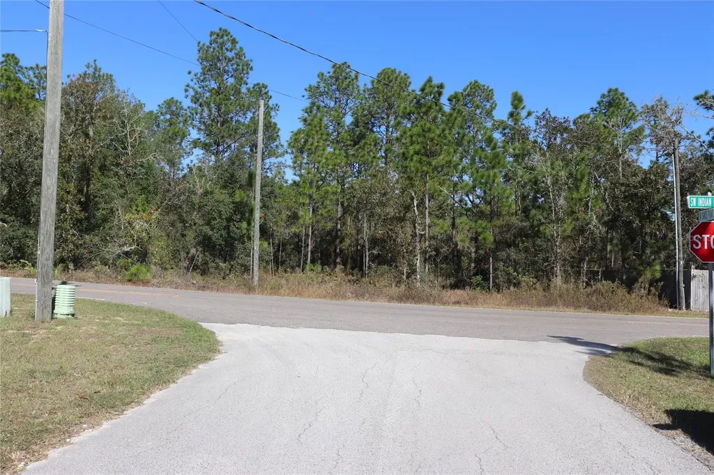 Tbd SW Indian Hill Drive Dunnellon FL 34431
