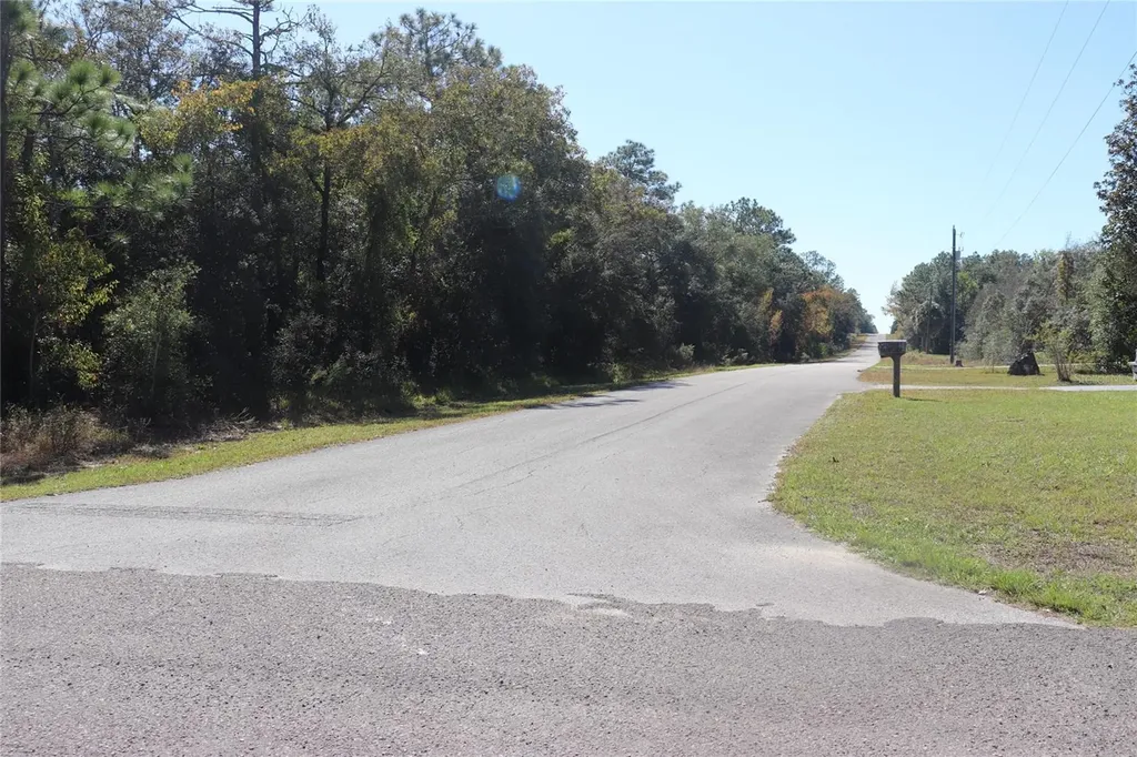 Tbd SW Indian Hill Drive Dunnellon FL 34431