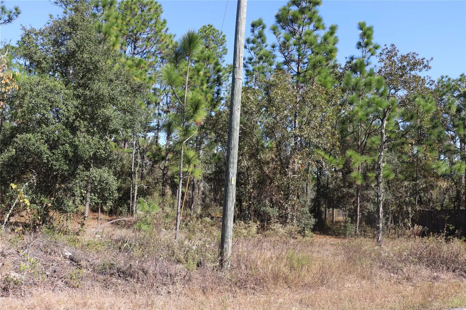 Tbd SW Indian Hill Drive Dunnellon FL 34431