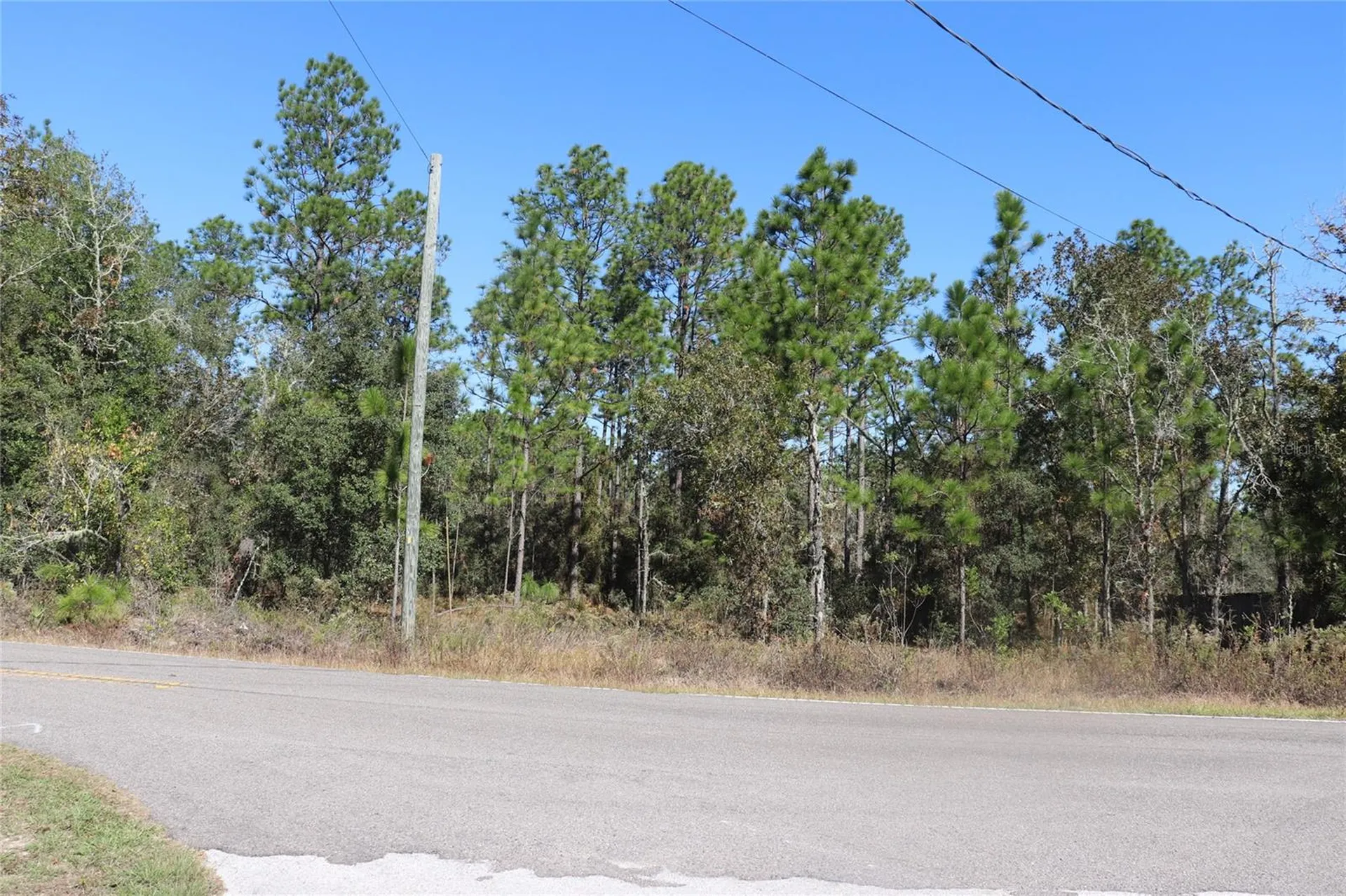 Tbd SW Indian Hill Drive Dunnellon FL 34431