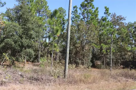 Tbd SW Indian Hill Drive Dunnellon FL 34431