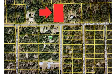 Tbd SW Indian Hill Drive Dunnellon FL 34431