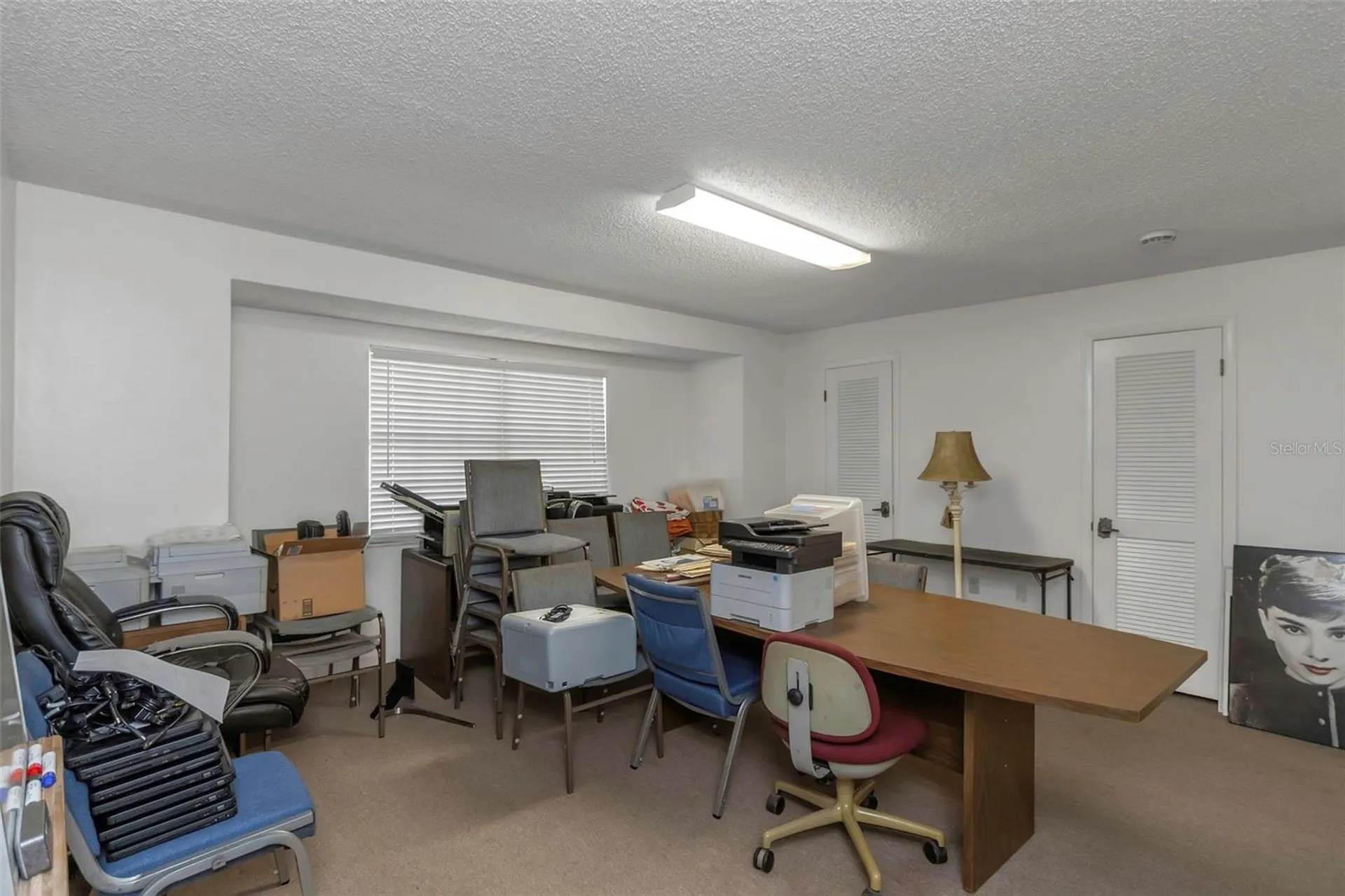 17515 Lakeshore Road Lutz FL 33558