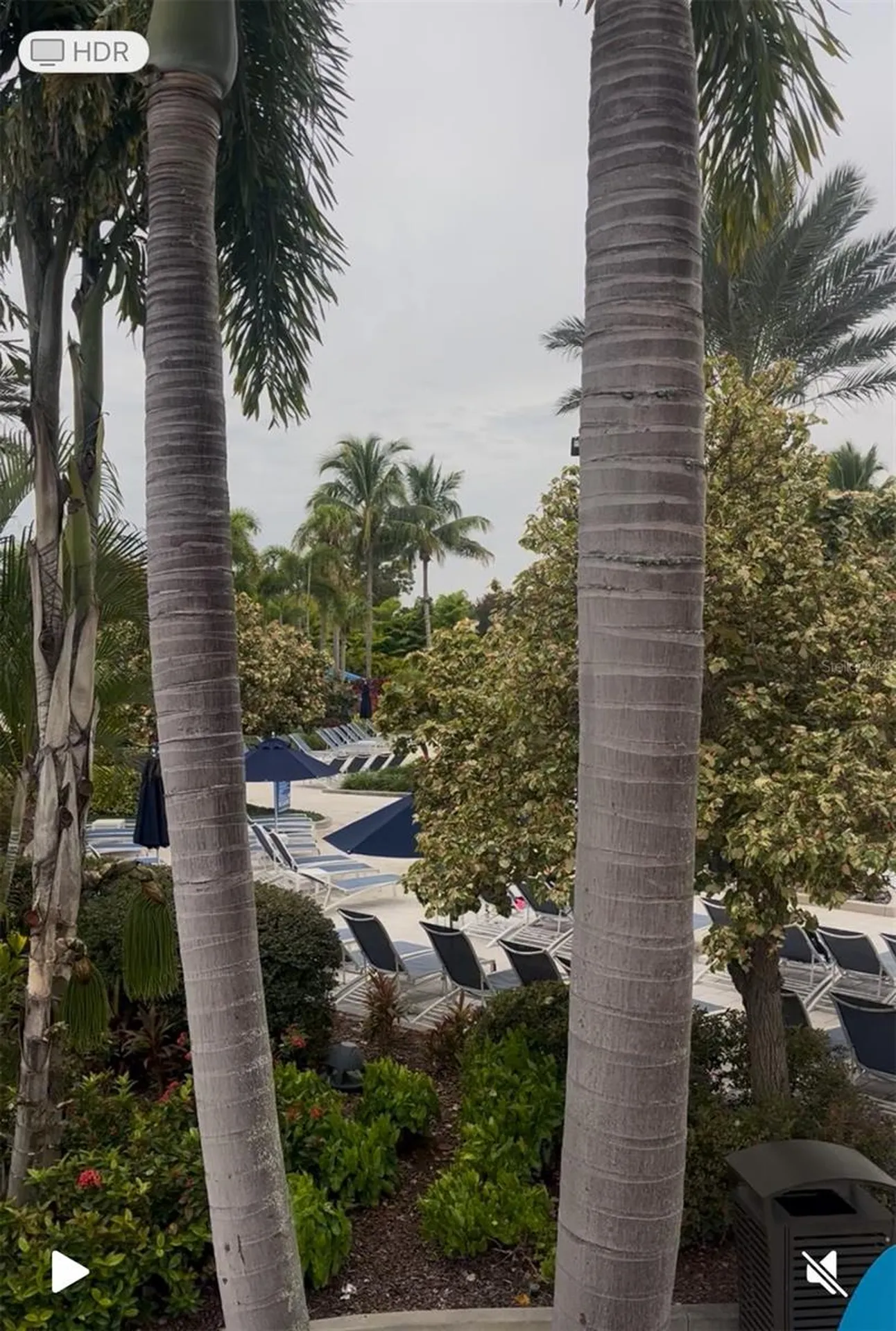 14501 Grove Resort Avenue Winter Garden FL 34787