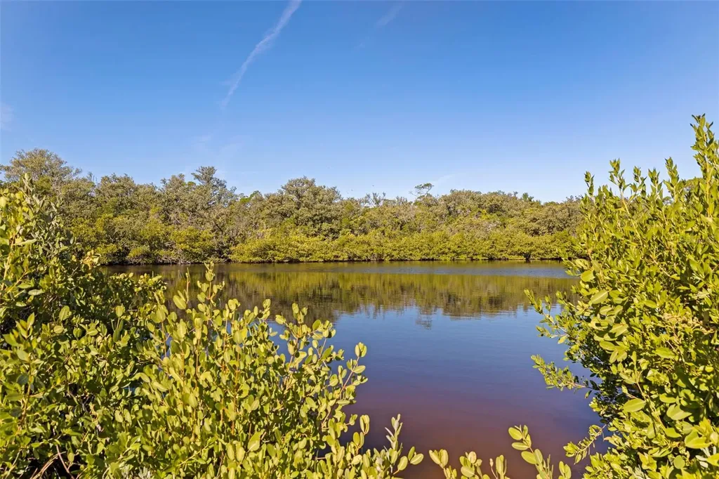 2000 Bayview Drive Tierra Verde FL 33715