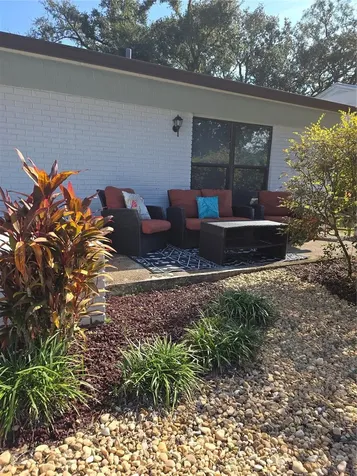 12803 Rain Forest Street Temple Terrace FL 33617