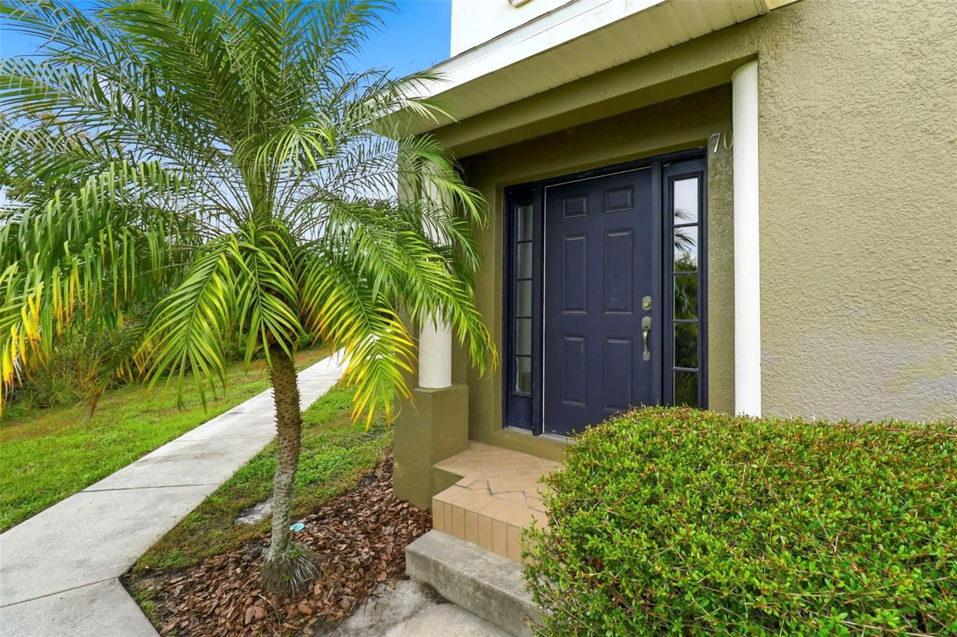 10144 Arbor Run Drive Tampa FL 33647