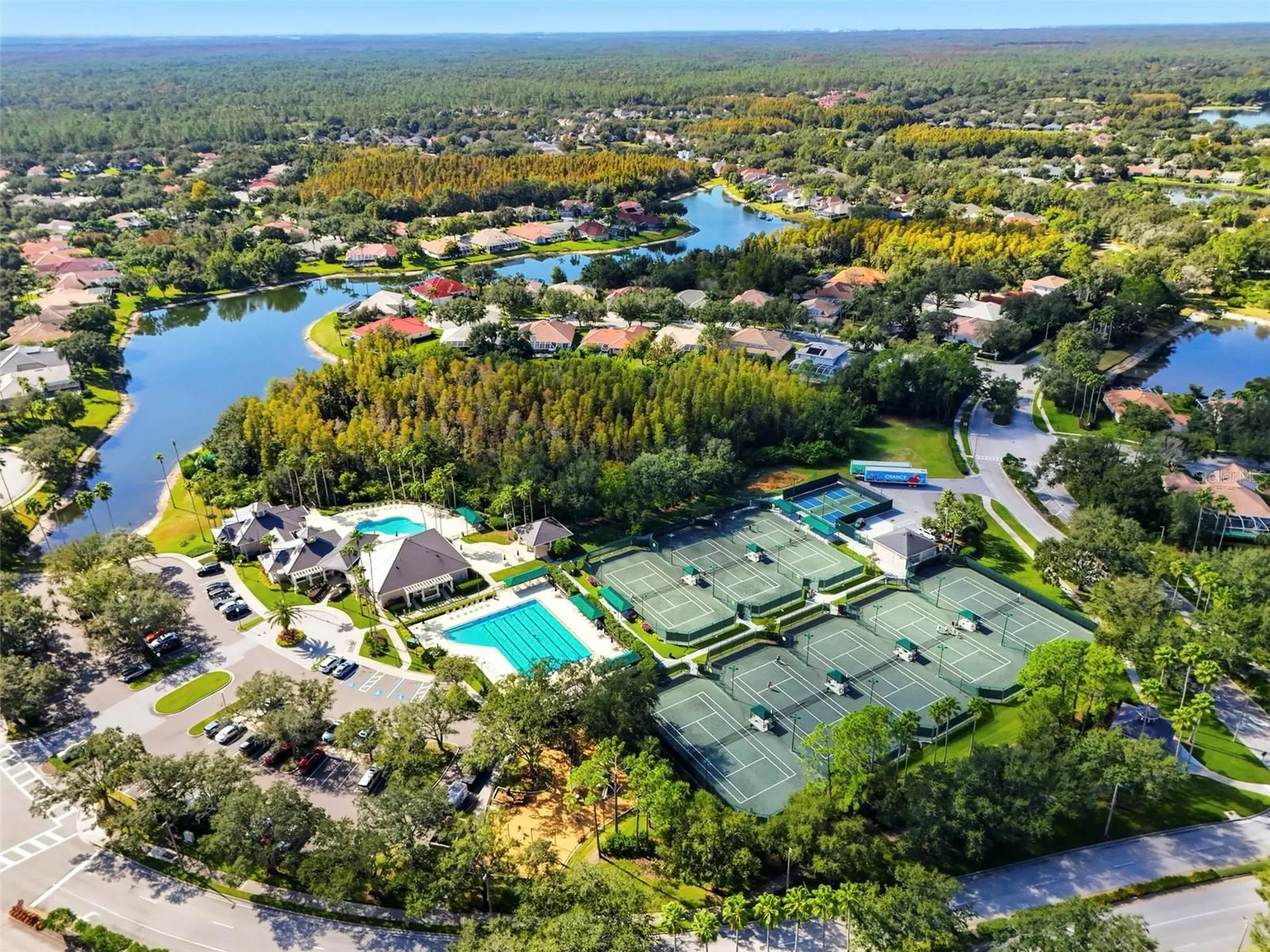 10144 Arbor Run Drive Tampa FL 33647