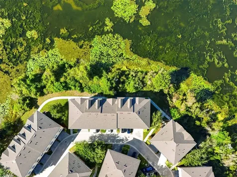 10144 Arbor Run Drive Tampa FL 33647