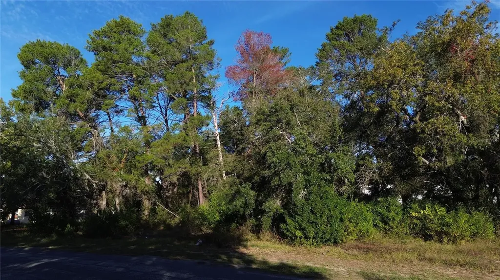 7939 Rhanbuoy Road Spring Hill FL 34606
