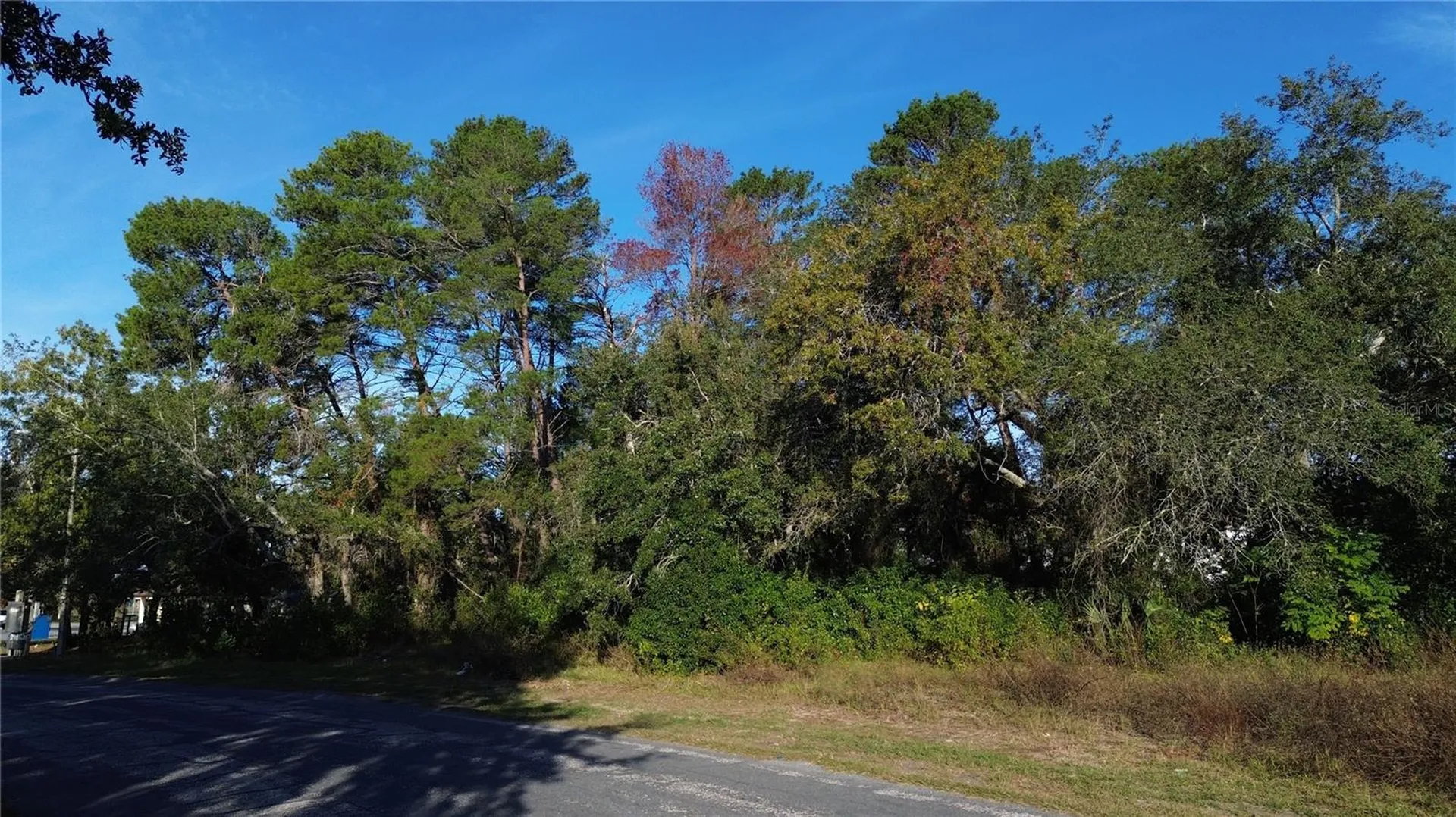 7939 Rhanbuoy Road Spring Hill FL 34606