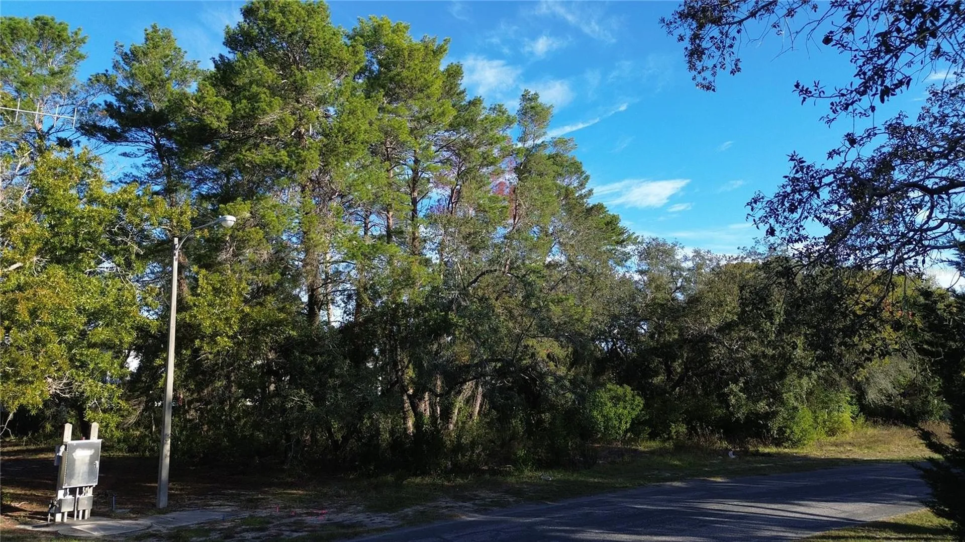 7939 Rhanbuoy Road Spring Hill FL 34606