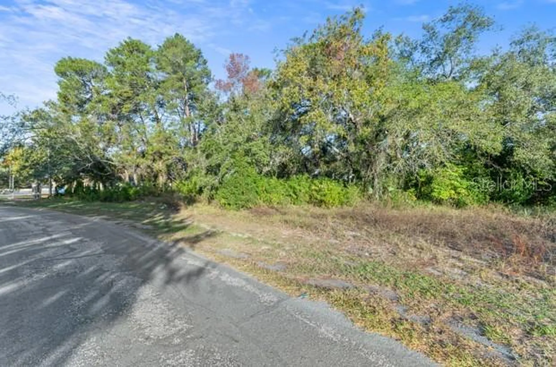 7939 Rhanbuoy Road Spring Hill FL 34606