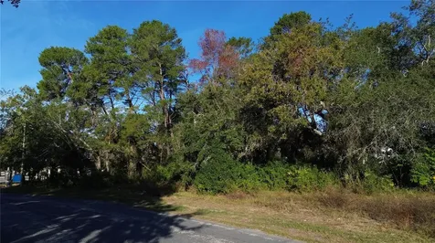 7939 Rhanbuoy Road Spring Hill FL 34606
