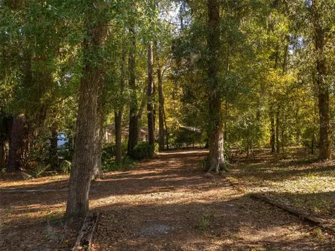 3619 NW 38th Street Gainesville FL 32606