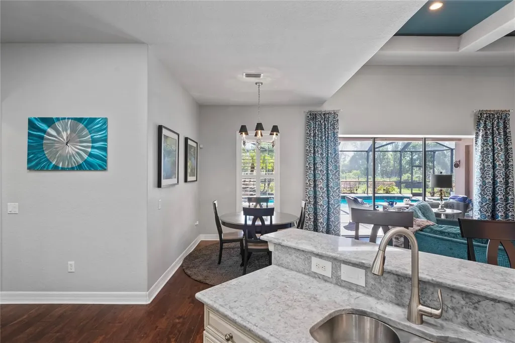 21604 Draycott Way Land O Lakes FL 34637