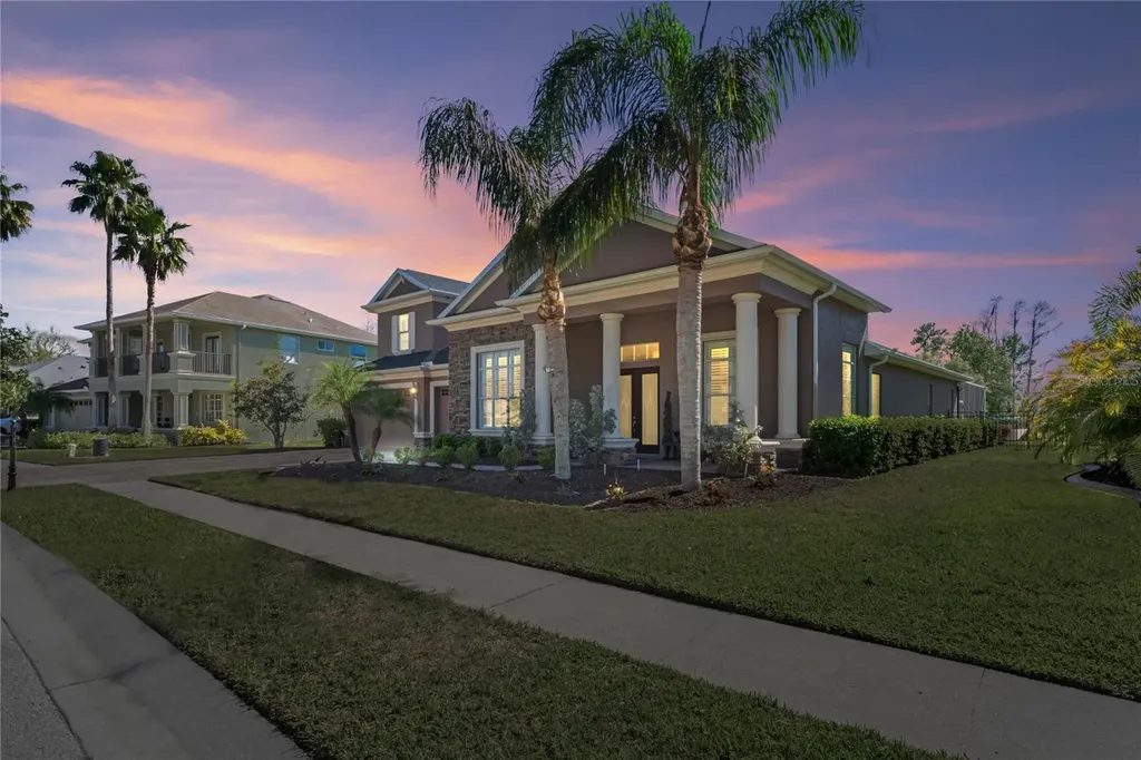 21604 Draycott Way Land O Lakes FL 34637
