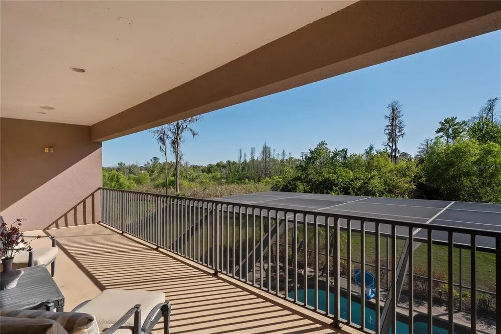 21604 Draycott Way Land O Lakes FL 34637