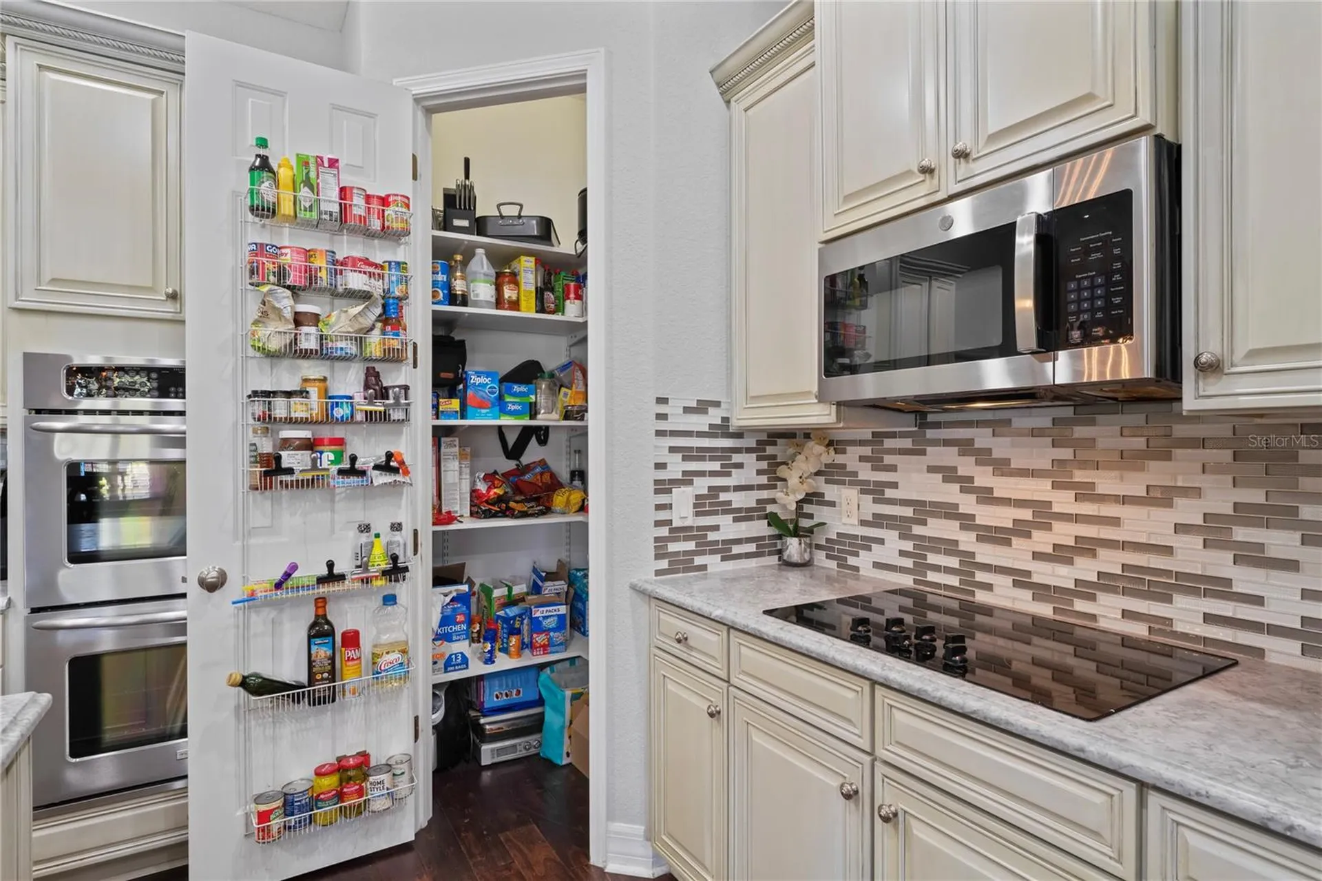 21604 Draycott Way Land O Lakes FL 34637