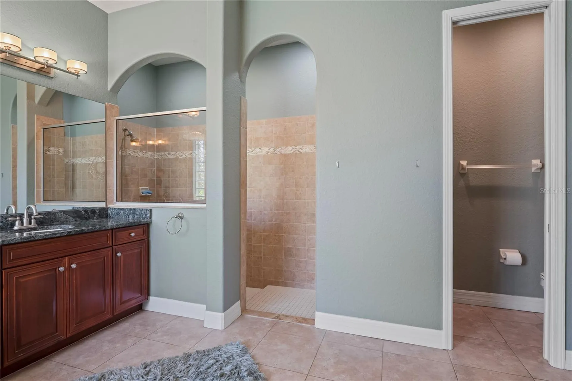 21604 Draycott Way Land O Lakes FL 34637
