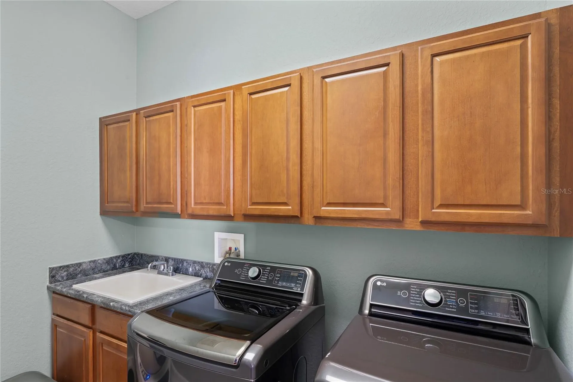 21604 Draycott Way Land O Lakes FL 34637