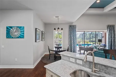 21604 Draycott Way Land O Lakes FL 34637