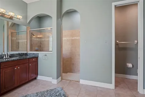 21604 Draycott Way Land O Lakes FL 34637