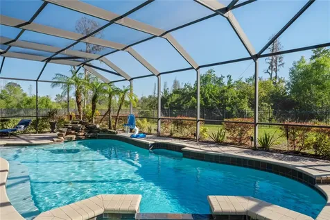 21604 Draycott Way Land O Lakes FL 34637