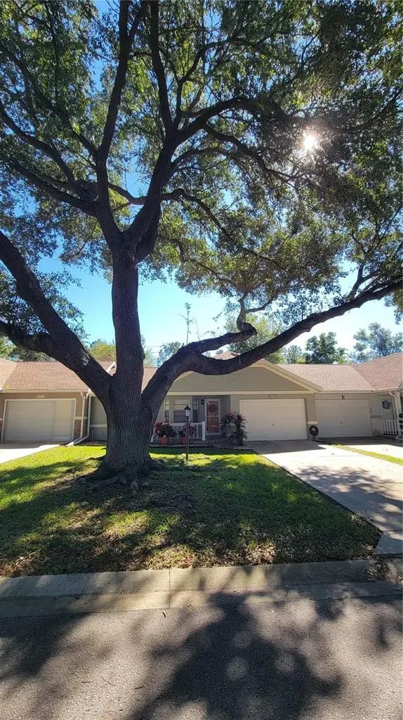 9331 SW 84th Terrace Ocala FL 34481
