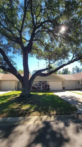 9331 SW 84th Terrace Ocala FL 34481