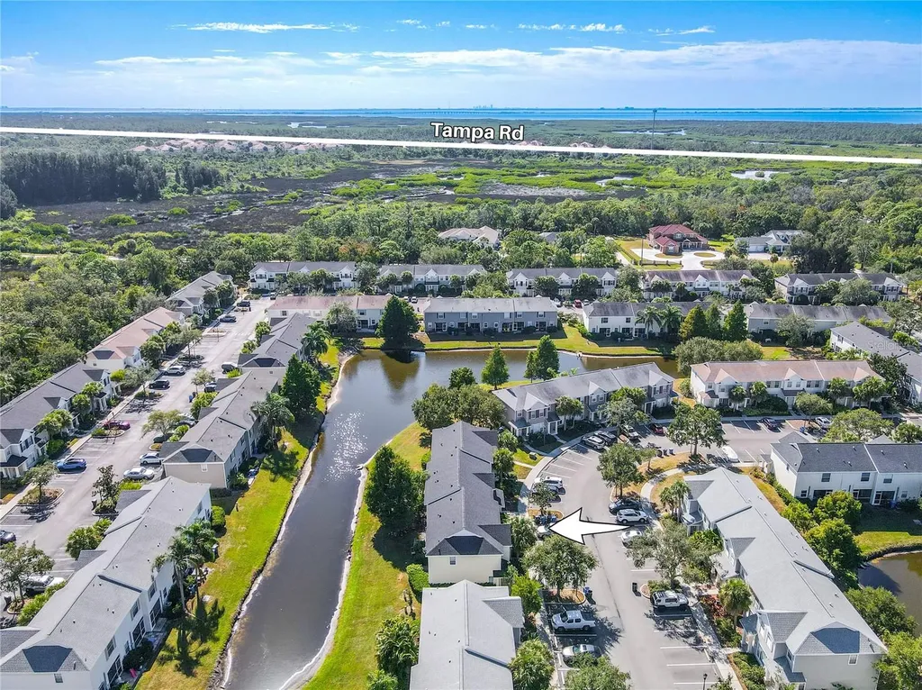 12245 Country White Circle Tampa FL 33635
