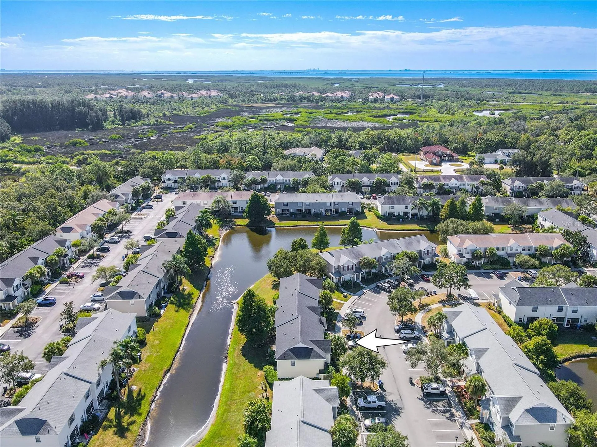 12245 Country White Circle Tampa FL 33635