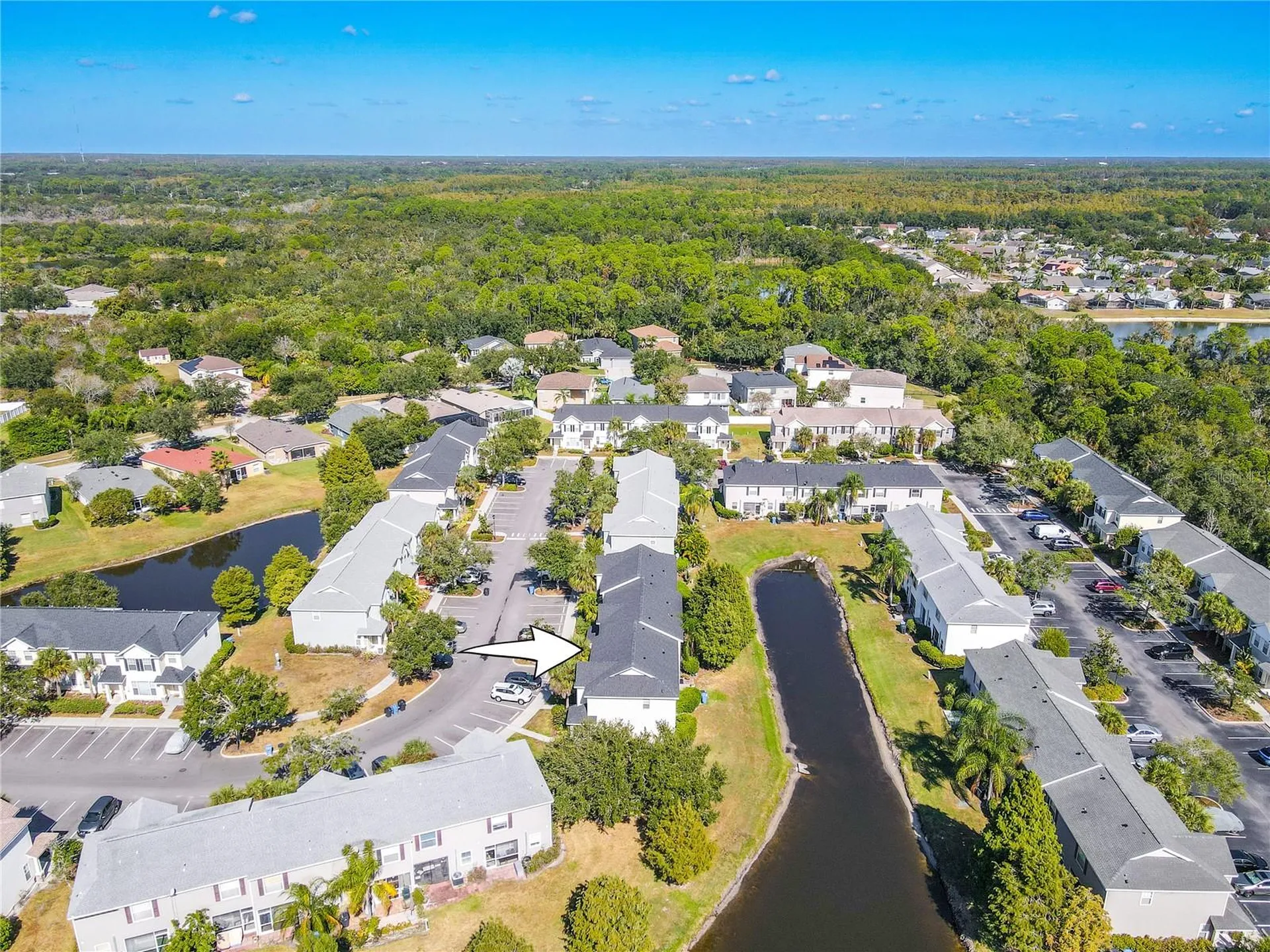 12245 Country White Circle Tampa FL 33635