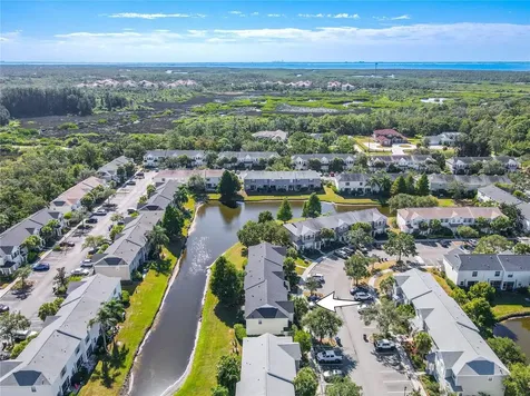 12245 Country White Circle Tampa FL 33635