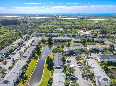 12245 Country White Circle Tampa FL 33635