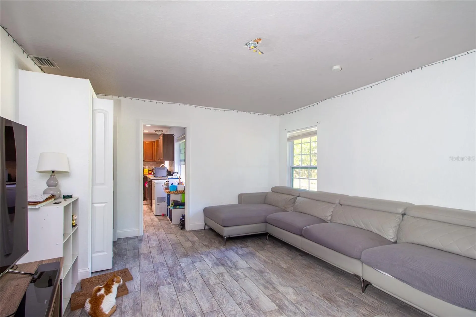 6447 Brandy Drive Spring Hill FL 34607