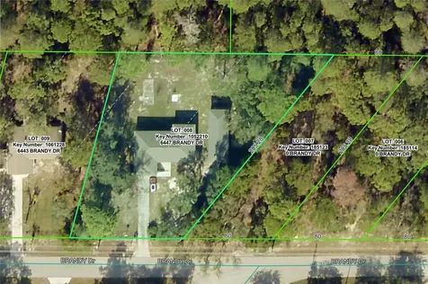6447 Brandy Drive Spring Hill FL 34607