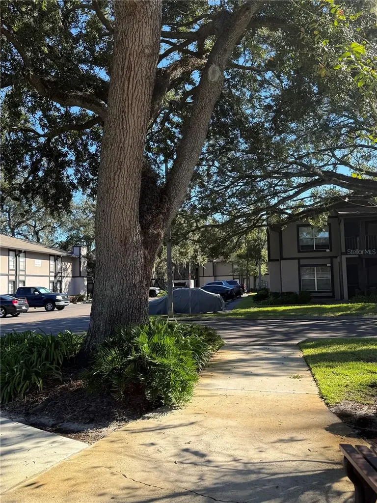 4025 Angel Oak Court Tampa FL 33613
