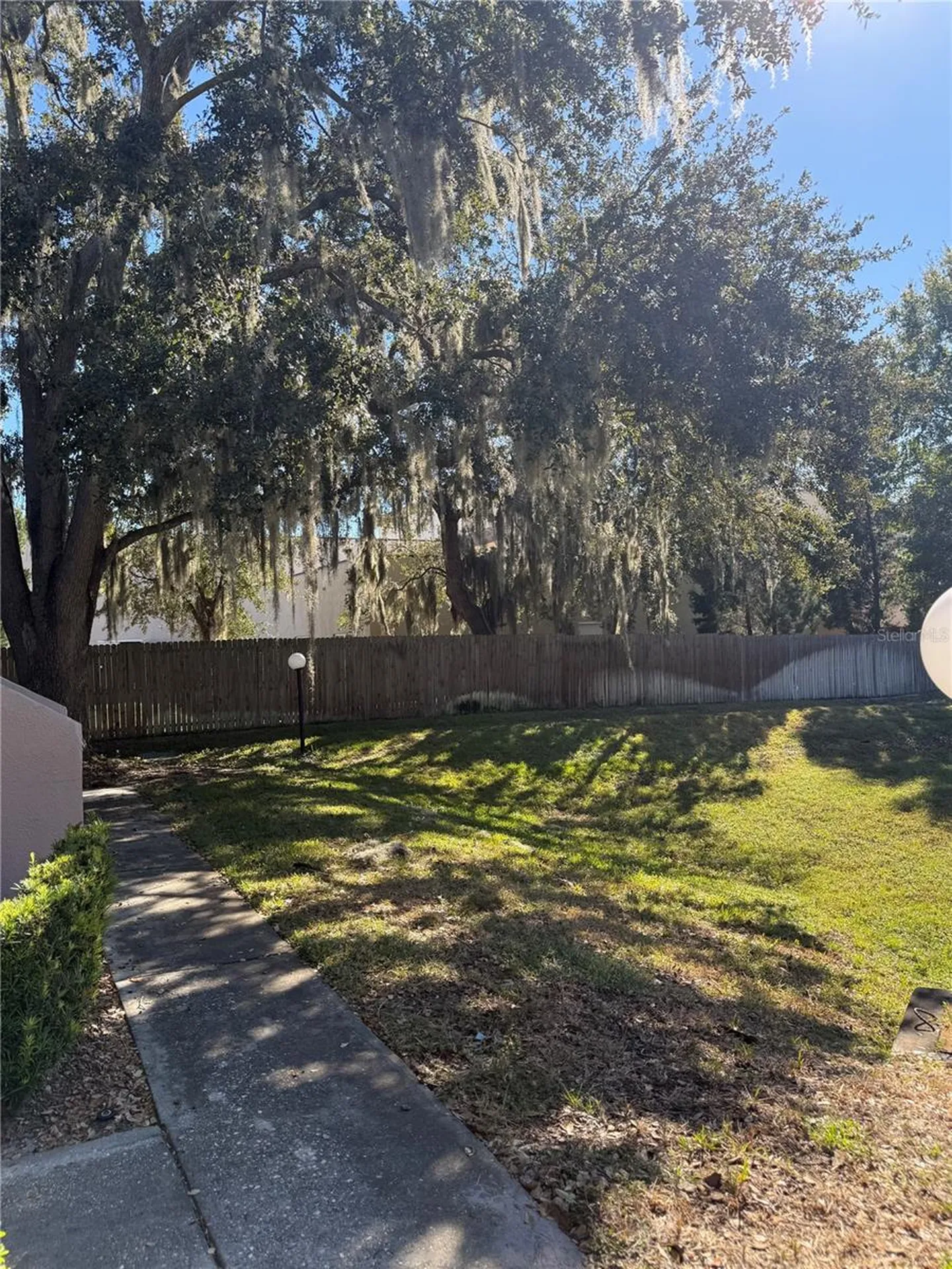4025 Angel Oak Court Tampa FL 33613