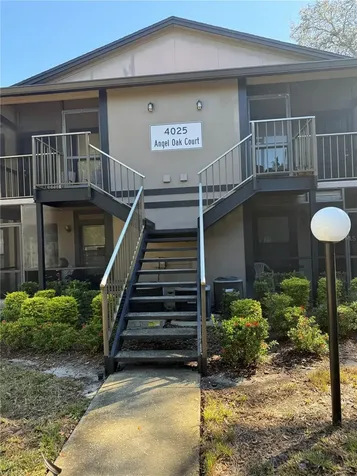 4025 Angel Oak Court Tampa FL 33613