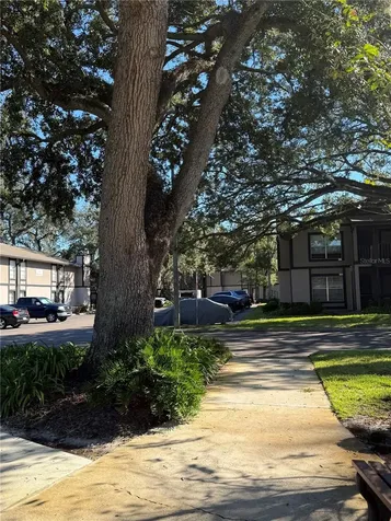 4025 Angel Oak Court Tampa FL 33613